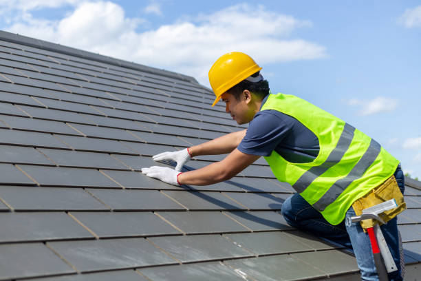 Best Roof Maintenance Services  in Edinburg, VA