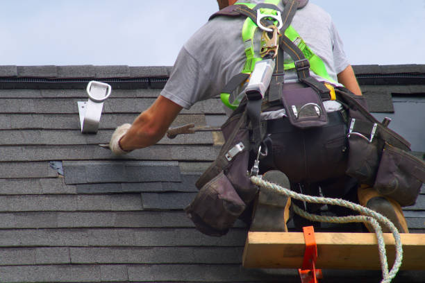 Best Roof Gutter Cleaning  in Edinburg, VA