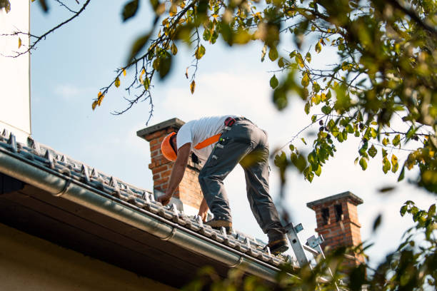 Best Commercial Roofing Services  in Edinburg, VA