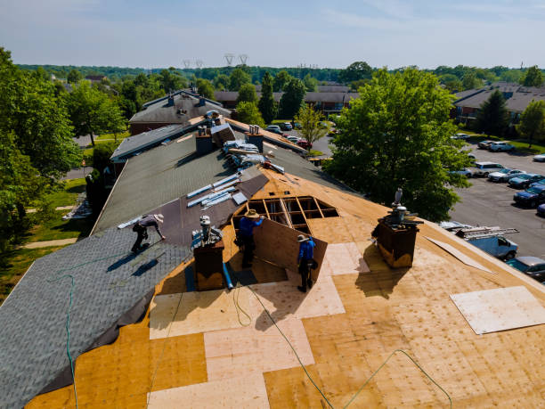 Best Storm Damage Roof Repair  in Edinburg, VA