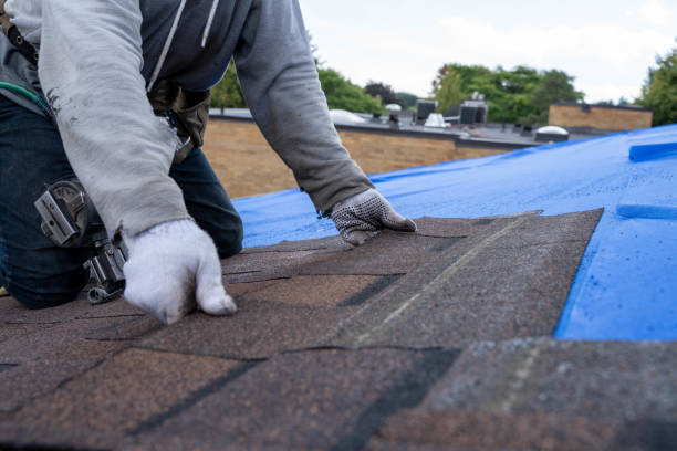 Roof Gutter Cleaning in Edinburg, VA