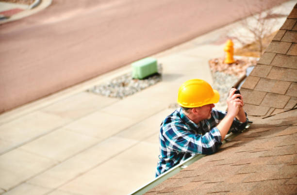 Best Roof Gutter Cleaning  in Edinburg, VA