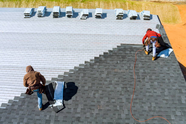Best Storm Damage Roof Repair  in Edinburg, VA