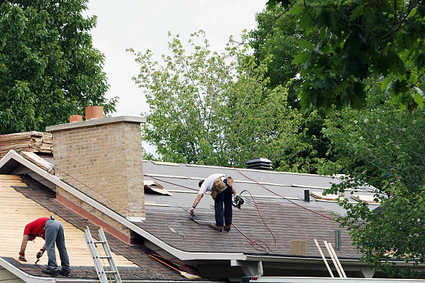 Best Gutter Installation and Roofing  in Edinburg, VA
