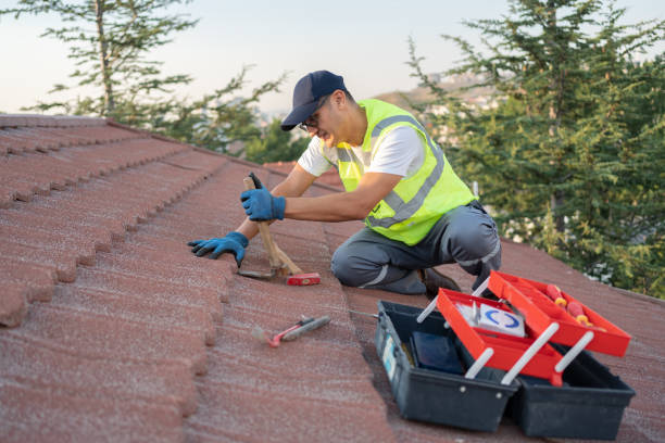 Best Best Roofing Contractors  in Edinburg, VA