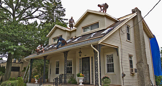 Best Emergency Roof Repair  in Edinburg, VA