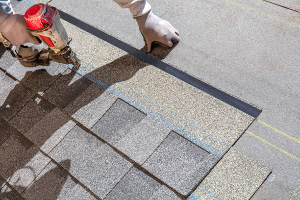 Best Flat Roof Repair Services  in Edinburg, VA